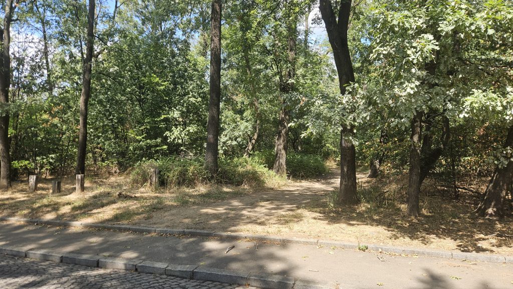 Kordunaska ulaz u zvezdarsku sumu