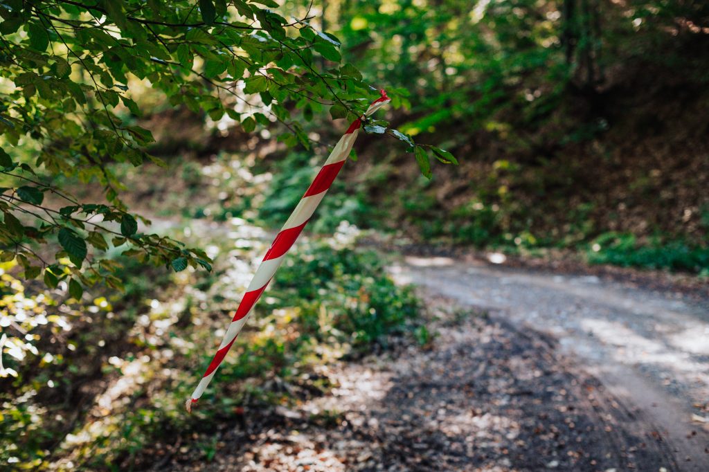 Arilje Trail 2025 - Staza